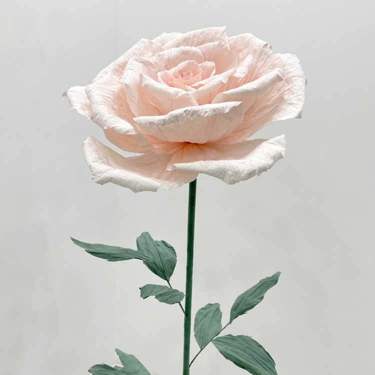 colour paper rose colour paper rose